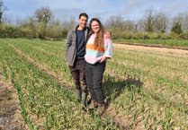 Farm trial demonstrates potential for 'micro-diversification'