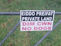 NRW issue warning over river Teifi illegal fishing