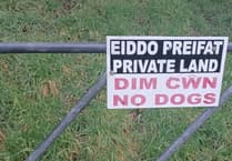 Natural Resources Wales issue warning after river Teifi illegal fishing fine