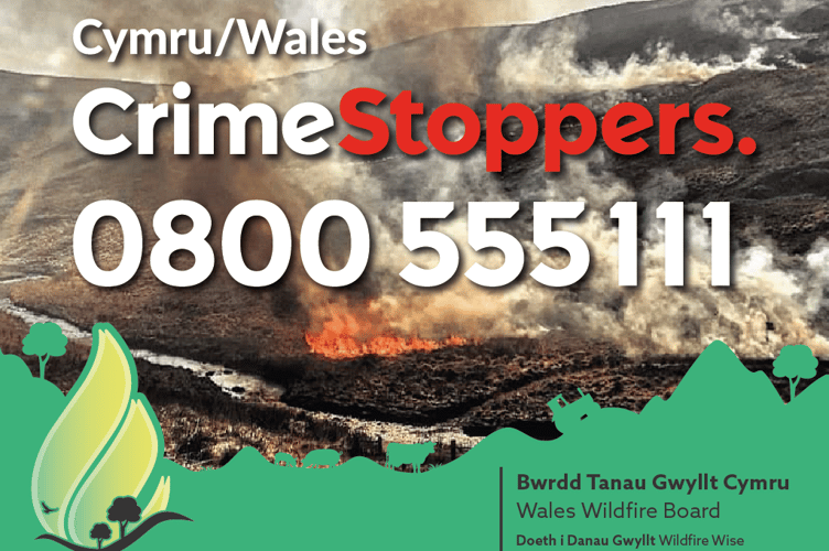 Fire setting is a crime. If concerned, call CrimeStoppers.