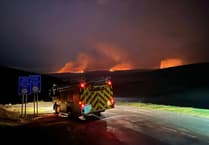 Hafod estate closed due to wildfires