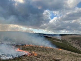Elan Valley fire continues to burn into its fifth day