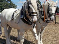 Enjoy nostalgic memories at the 2026 Shrewsbury Steam Rally