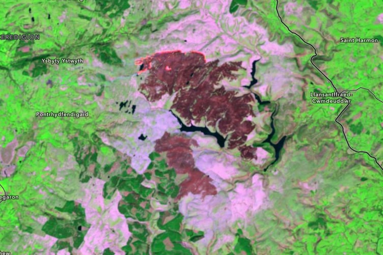 Satellite images reveal the damage of last week's Elan Valley wildfire, and the molinia grasses (contrasted in pink) that are the cause of the huge blaze. The orange is the active line of the fire, taken on Wednesday 29 April. Photo: Esri/ Landsat