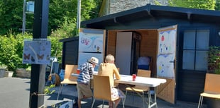 Pollinator Festival ready to return to Cletwr
