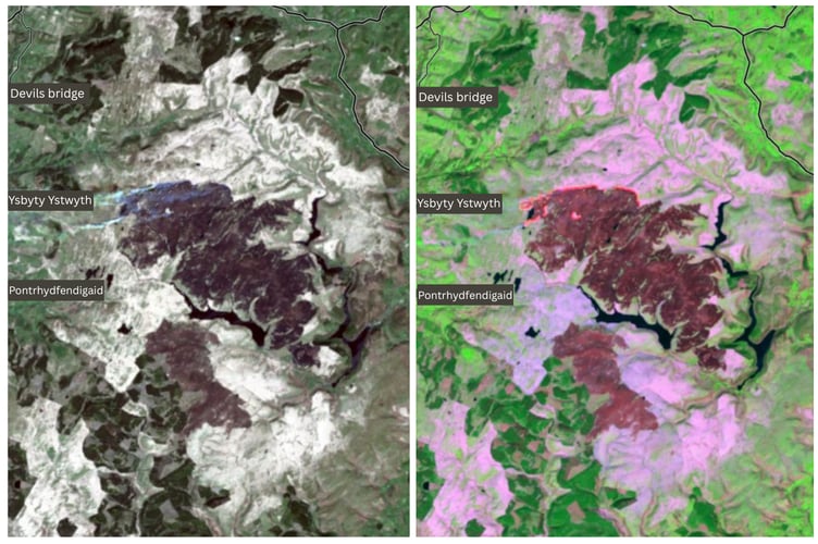 The 2026 Elan Valley wildfire seen from space last week. Left - the normal satellite image. Right - the image enhanced to see the contrast and active line of fire. The dark purple shows the burnt land, the light pink shows the prevalence of molinia grass which fuels the fire. Photo: Esri/ Landsat