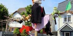 Borth festivals return with 'Hobbies and Occupations' theme