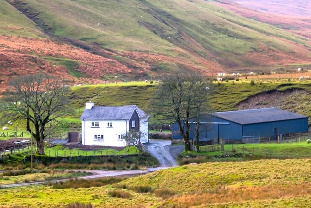 Elan Valley Trust seeks four new tenant farmers 