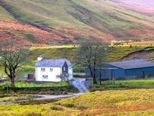 Elan Valley Trust seeks four new tenant farmers 