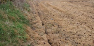Fine for damage to protected wildlife site near Mwnt