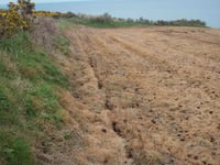 Fine for damage to protected wildlife site near Mwnt