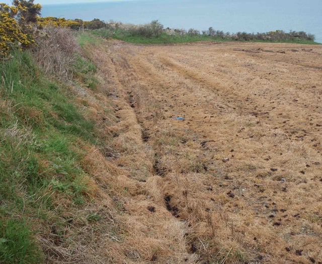 Fine for damage to protected wildlife site near Mwnt