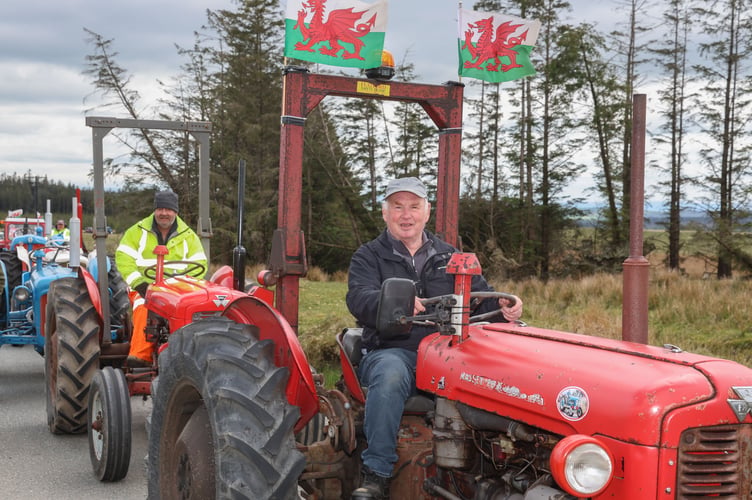Peter Davies led the run on his MF35