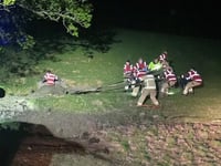 Firefighters from across mid Wales come to aid of trapped cow