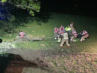 Firefighters from across mid Wales come to aid of trapped cow