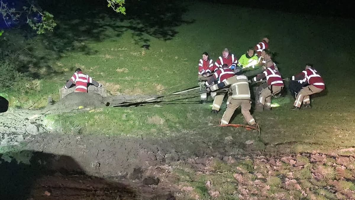 Cow Lifeguards Firefighters from across mid Wales come to aid of trapped cow ...