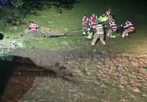 Firefighters from across mid Wales come to aid of trapped cow