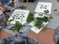 Pregnancy and early parenthood art support extended