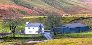 Rare farming opportunities in the Elan Estate