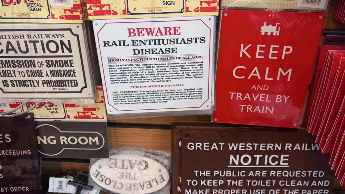 Train travel troubles: why delays and disruptions are testing Julie's ...
