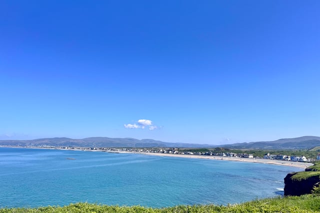 Borth beach dog ban in place to protect Blue Flag status