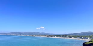 Borth beach dog ban in place to protect Blue Flag status