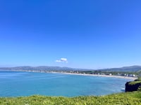 Borth beach dog ban in place to protect Blue Flag status
