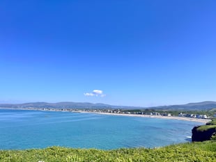 Borth beach dog ban in place to protect Blue Flag status