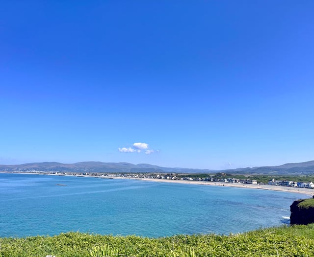 Borth beach dog ban in place to protect Blue Flag status