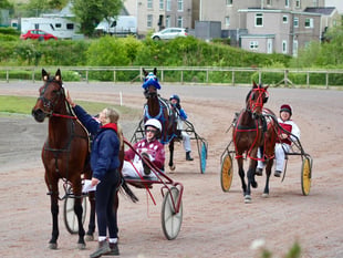 Trotting season roars to life with thrilling card