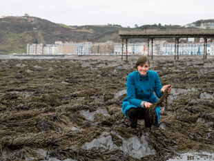 Aber scientists develop seaweed plastic to package food
