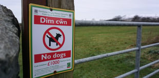 Dog owner fined £452 in Gwynedd