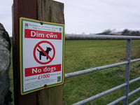 Dog owner fined £452 in Gwynedd