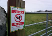 Gwynedd cracks down on dog rule breaches