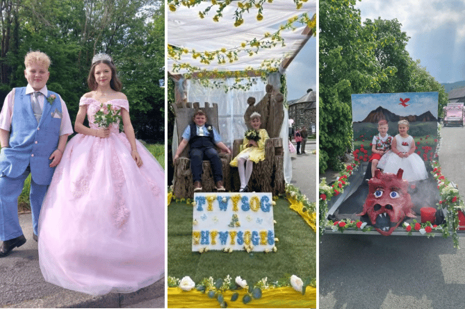 Dolgellau Carnival fun