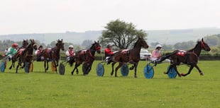 Break with tradition at Synod Inn racing