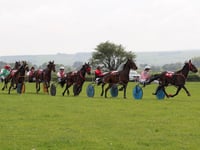 Break with tradition at Synod Inn racing