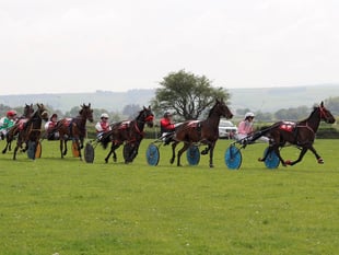 Break with tradition at Synod Inn racing