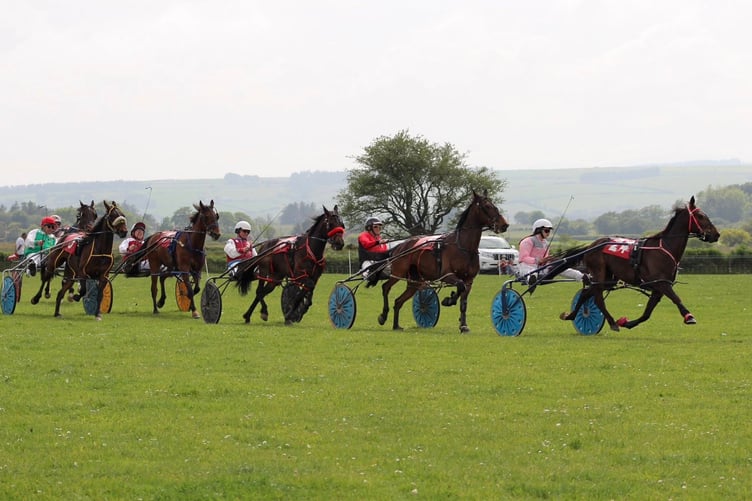 Grade B Final winner Wye Doon
