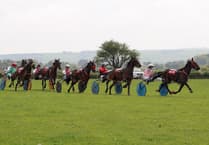 Synod Inn hosts first grass harness racing meeting of season