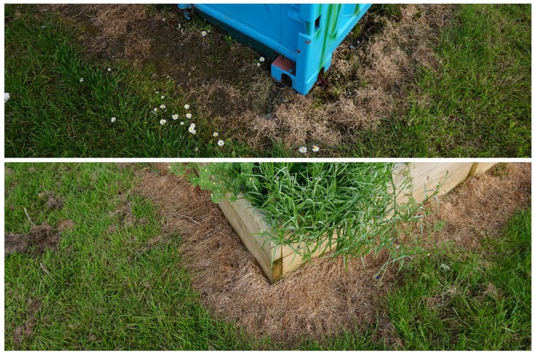 A close-up of the edges sprayed with herbicide.