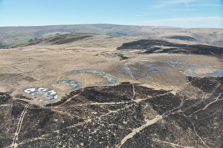 Aerial footage shows where the wildfire stopped short - at the peatland bog. 