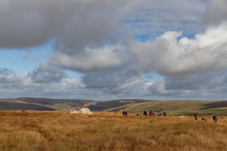 Volunteers using wool to make bunds for peatland restoration.