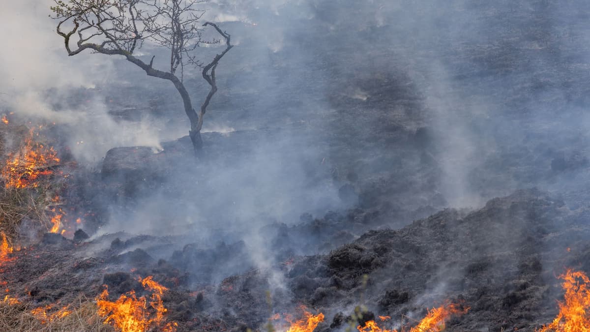 Parched and in peril -  NRW issues warning