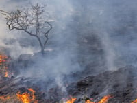 NRW issues stern warning over fires