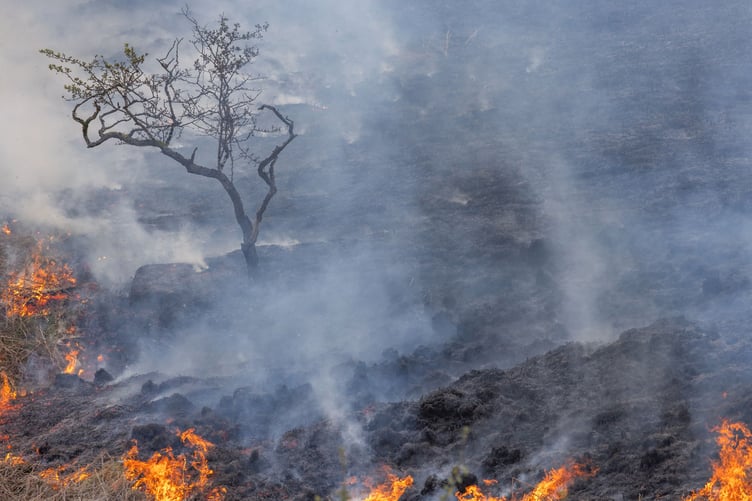 The Elan Valley wildfire burning through the landscape in late April.