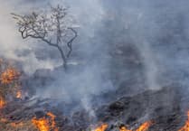 Parched and in peril - NRW issues warning