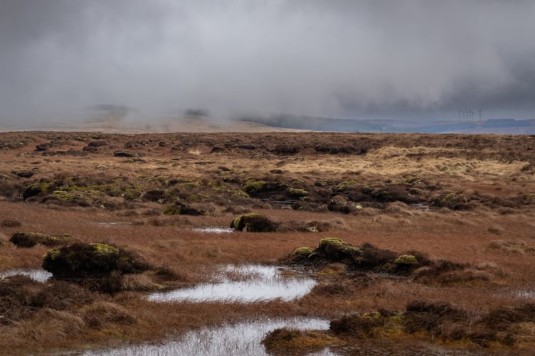 A drained bog in the Elan Valley before it was rewetted.
