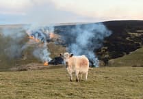 'Wildfires are a warning we cannot ignore'