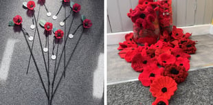 Barmouth community to craft poppies for Remembrance Day